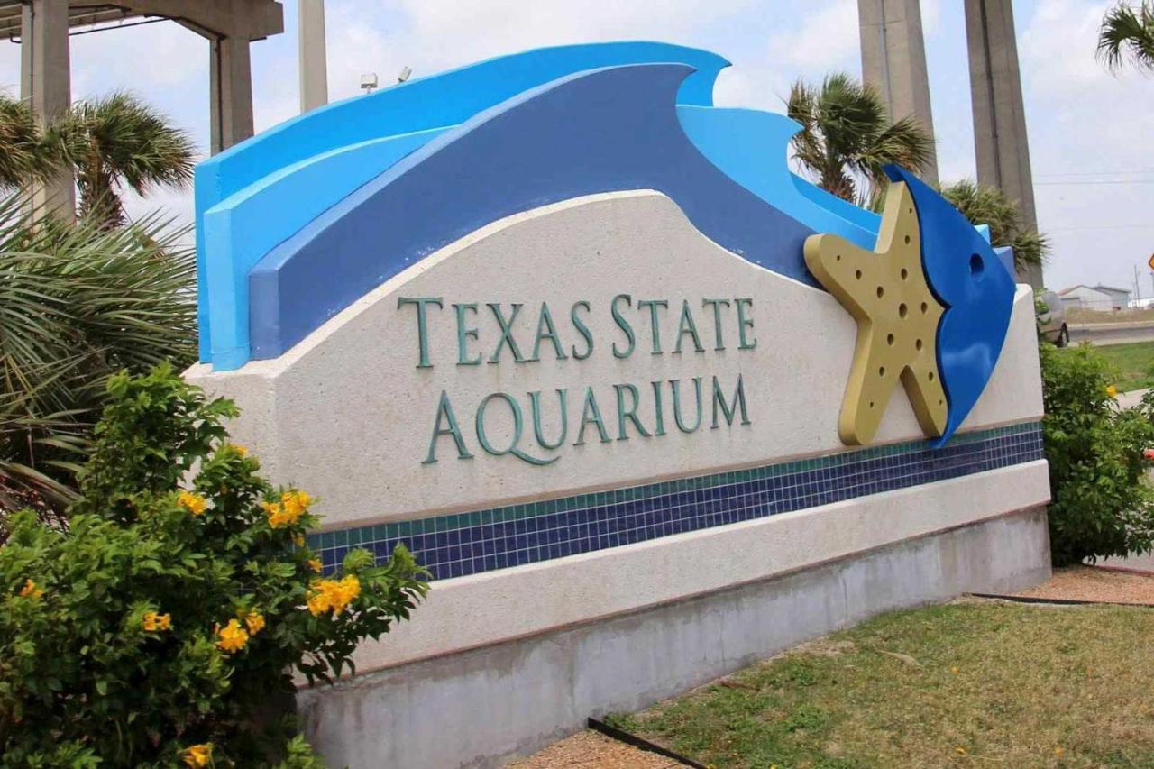 Corpus Christi Condo With Pool Access, Walk To Beach Exterior photo